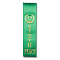 2"x8" 6th Place Stock Award Ribbon W/ Trophy Image (Lapel)